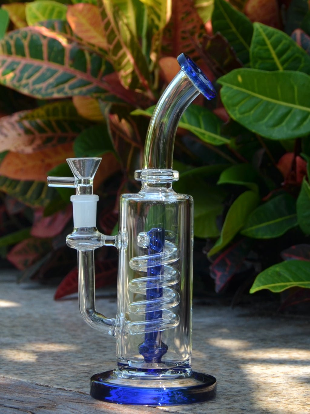 Coil Showhead Glass Bong - Croia Glass