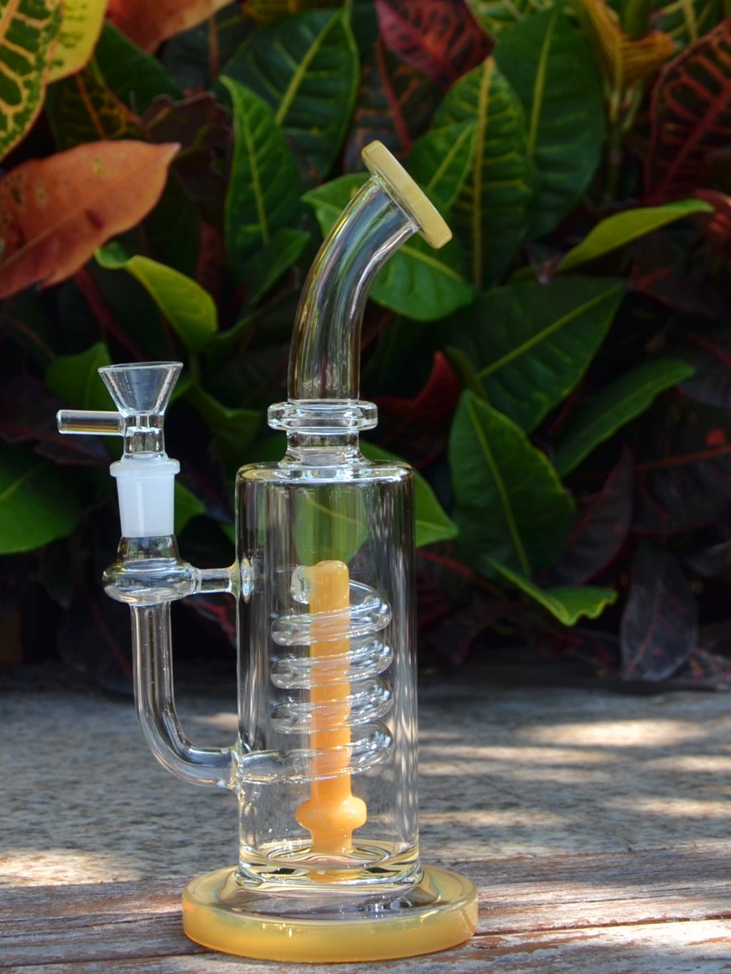 Coil Showhead Glass Bong - Croia Glass