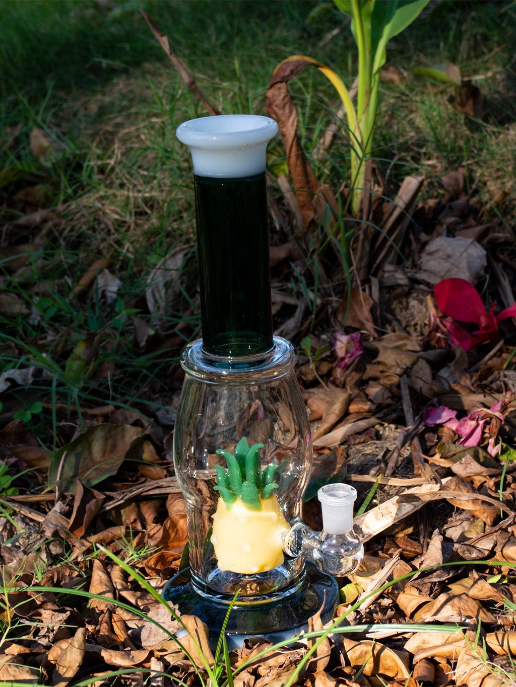 Pineapple Glass Bong - Croia Glass