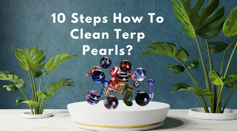 10 Steps How To Clean Terp Pearls?