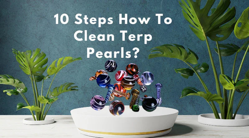 10 Steps How To Clean Terp Pearls?