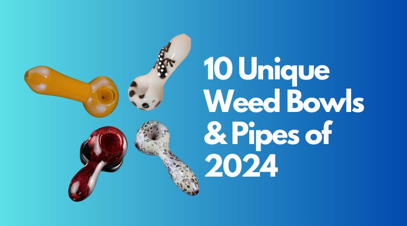 10 Unique Weed Bowls & Pipes of 2024 – Croia Glass