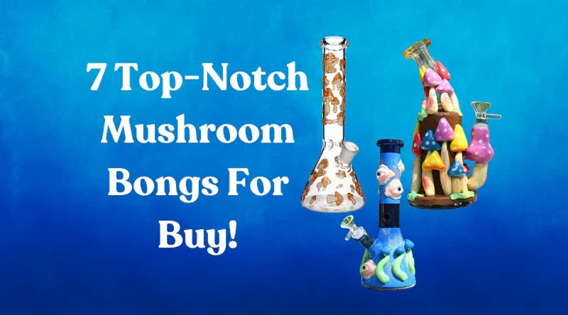7 Top-Notch Mushroom Bongs For Buy - Croia Glass