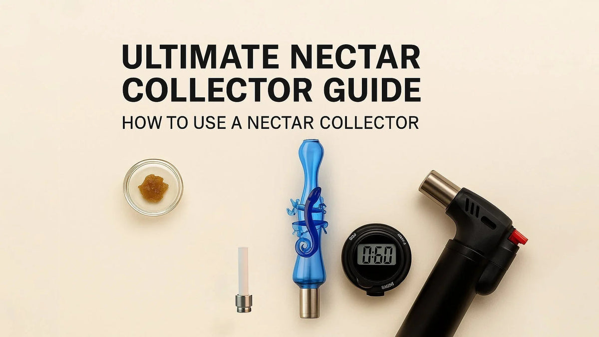 🍯 The Ultimate Nectar Collector Beginner’s Guide