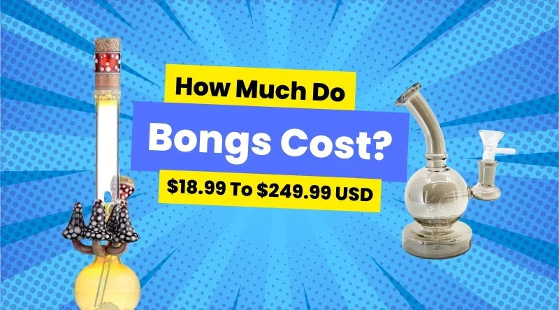 How Much Do Bongs Cost - $18.99 To $249.99 USD - Croia Glass