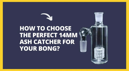 How to Choose 14mm Ash Catcher: Size & Fit Guide