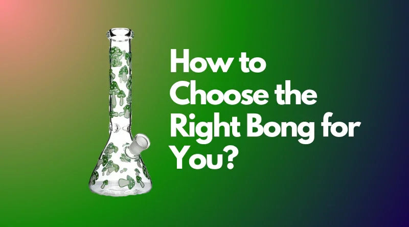 How to Choose the Right Bong for You - Croia Glass