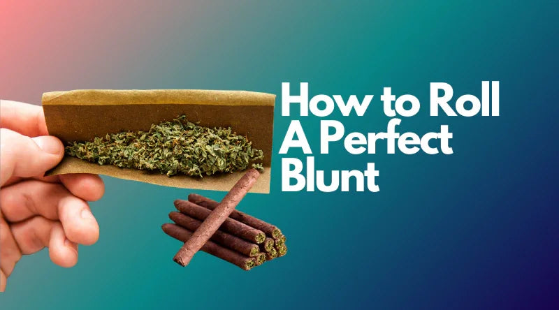 How to Roll a Perfect Blunt