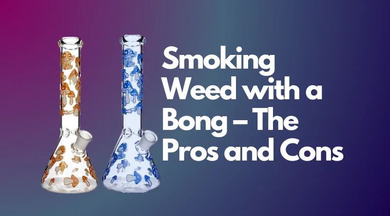 Smoking Weed with a Bong – The Pros and Cons - Croia Glass