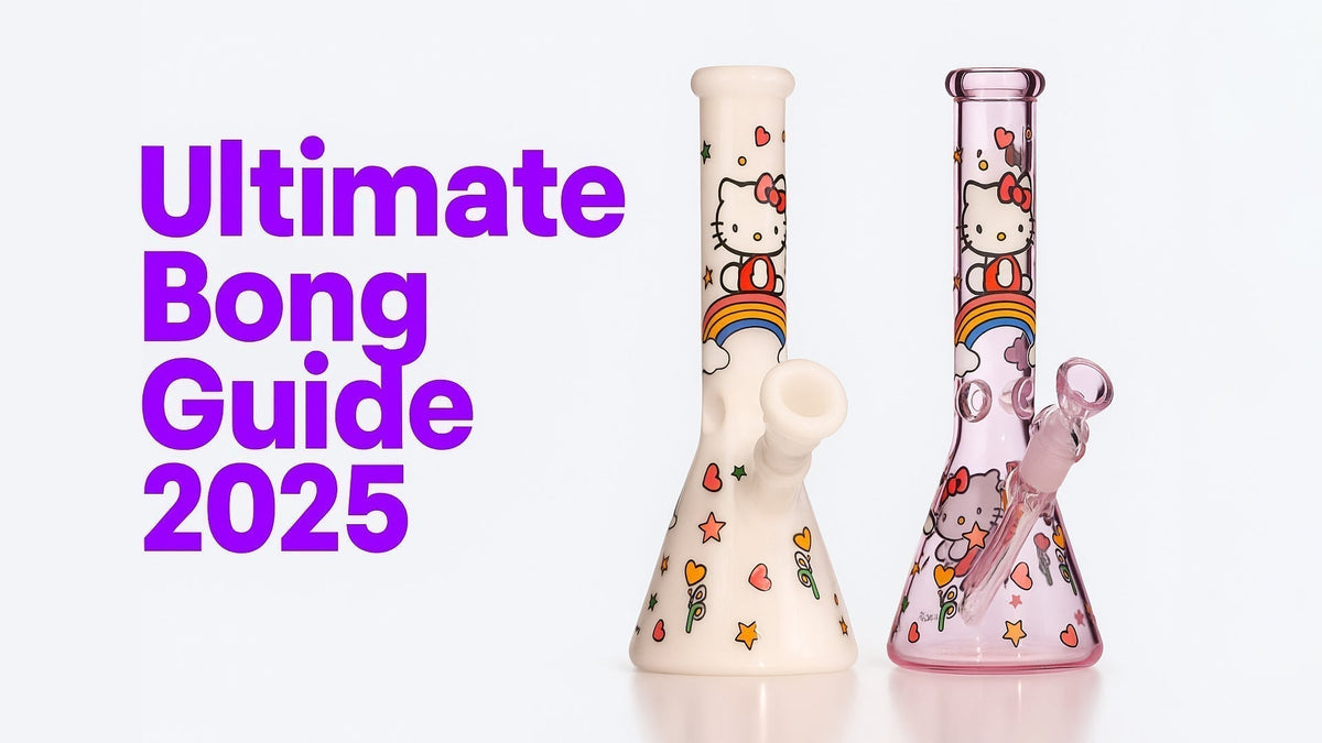 Croia Glass Borosilicate Bong Collection for Beginners