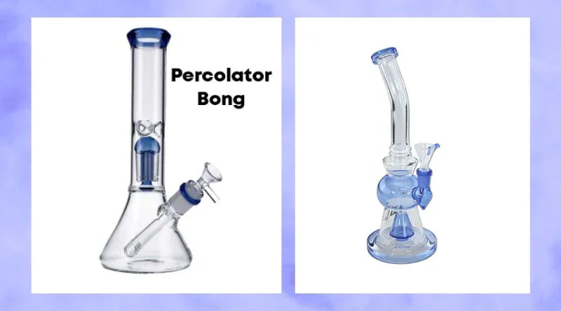 What Is A Percolator Bong? - Croia Glass