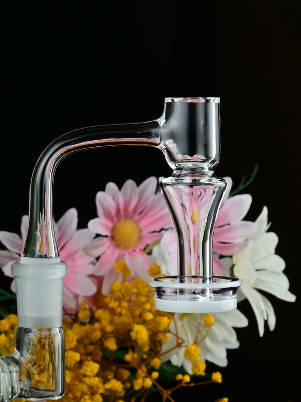 Round Belly Terp Slurper - Croia Glass